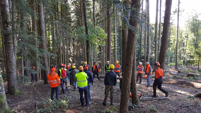 Le attività didattiche in bosco.